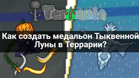 Использование тыквенной луны в террариуме