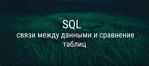 Использование SQLite для хранения данных