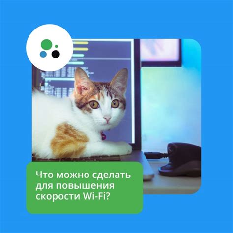 Использование Wi-Fi-ускорителей для повышения скорости подключения