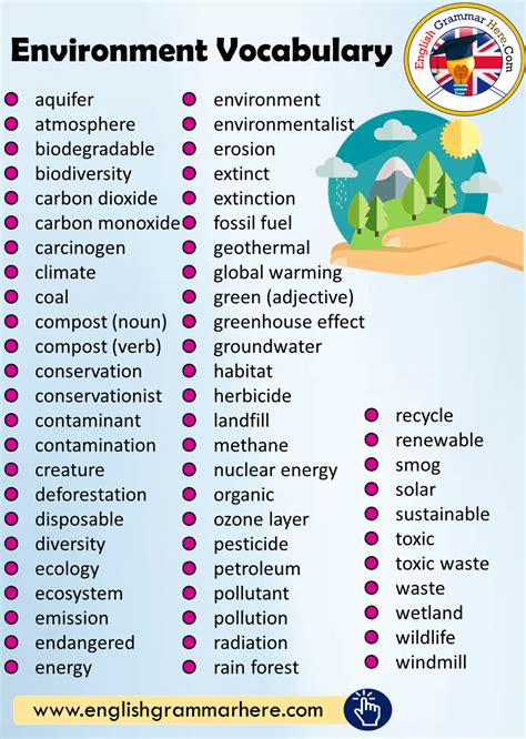 Использование environment "enumerate"