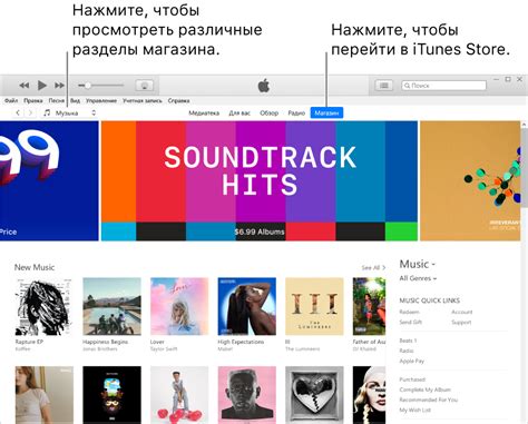 Использование iTunes