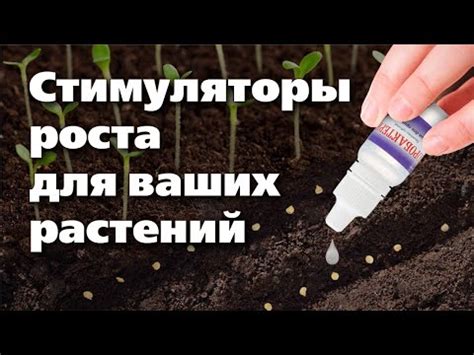 Используйте правильную комбинацию растений