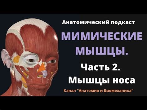 Используйте свои мимические мышцы для изменения голоса