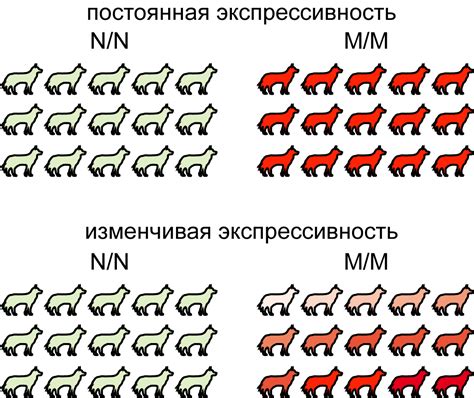 Используйте экспрессивность