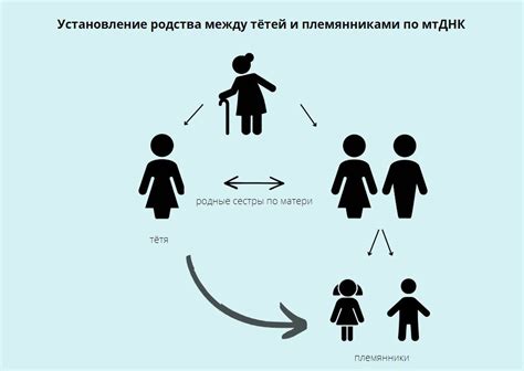 Исследование митохондриальной ДНК (мтДНК)