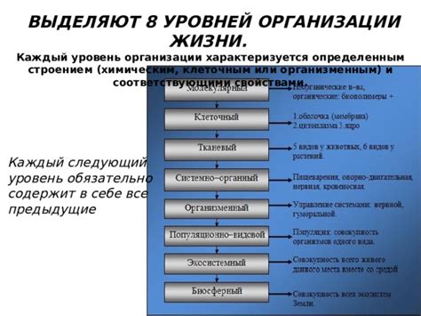 Исследование множества уровней организации жизни