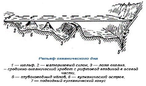 Исследование рельефа дна реки