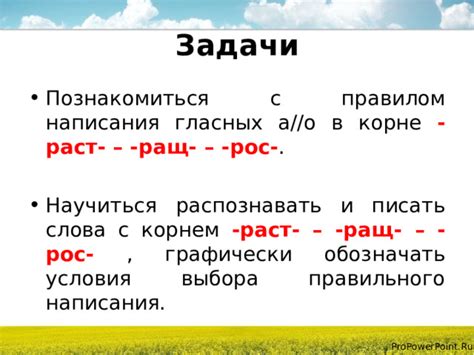 Истинные основы правильного написания слов с "а" в корне