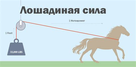 Исторический аспект использования лошадиных сил