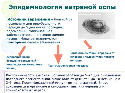 Исторический контекст ветряной оспы