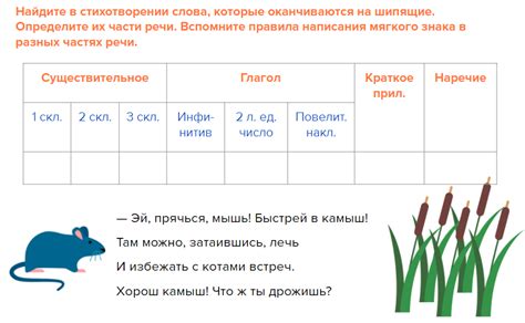 Исторический контекст использования мягкого знака