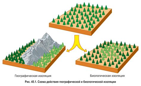 Исторический эволюционный фактор