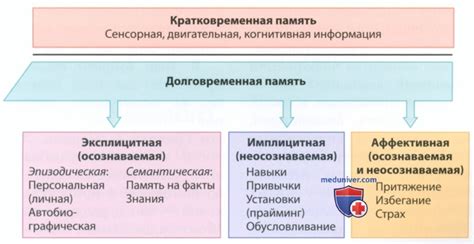 Историческое разделение и природа различий