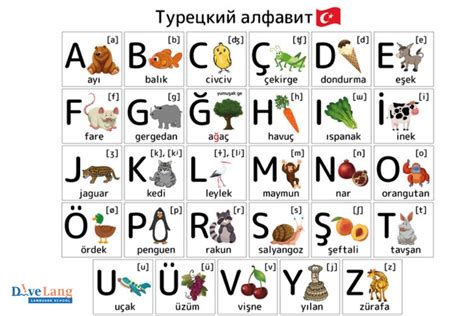 История алфавитов турецкого языка: от арабского до латинского