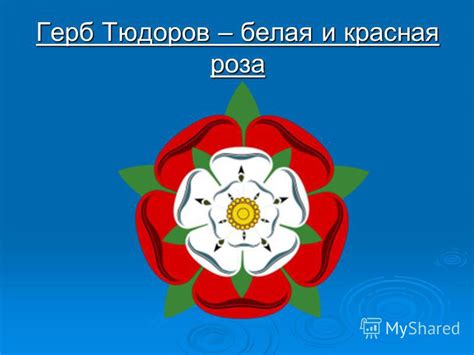 История герба Тюдоров: почему там алые и белые розы?