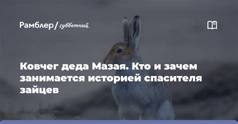 История героического поступка деда Мазая: как он спас зайцев