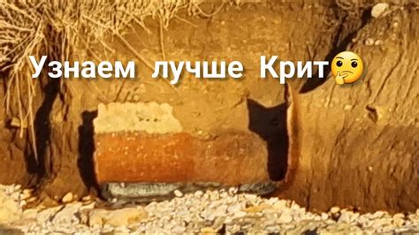 История извести