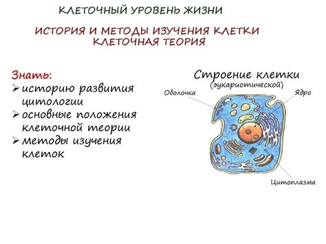 История и методы