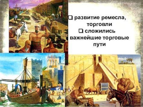 История и развитие торговли