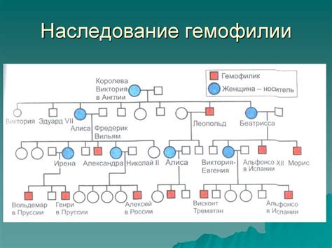 История и цель генеалогического древа