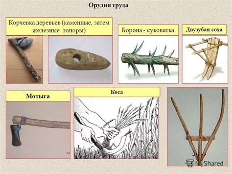 История орудий труда древних людей