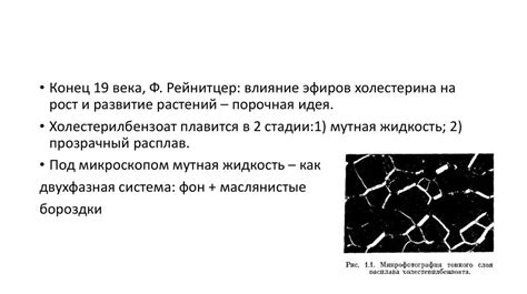 История открытия жидких кристаллов