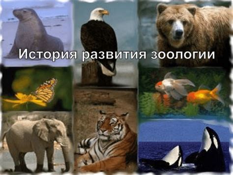 История открытия морского животного мира