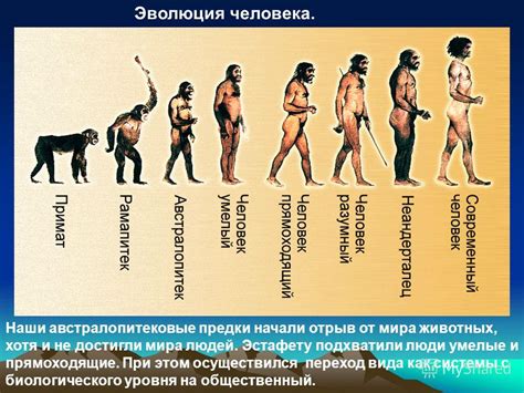 История происхождения Деймона: от обычного молодого человека к вампиру