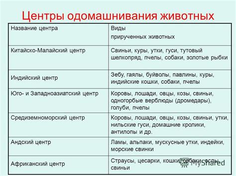 История происхождения и название животных, связанных с свиньями и свининой