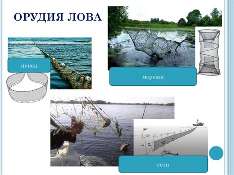 История рыболовства в регионе