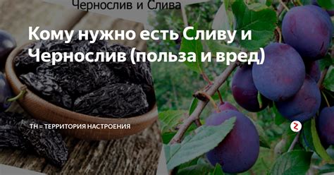 История чернослива и его свойства