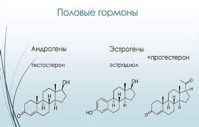 Источники гормонов у женщин