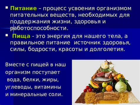 Источник необходимых питательных веществ