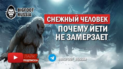 Йети: миф или реальность?