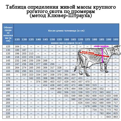 КРС живой вес: результаты и перспективы