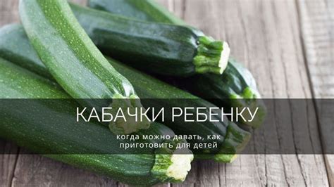 Кабачки: источник ценных веществ