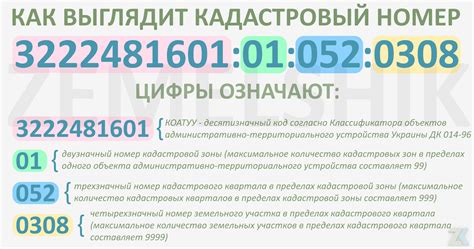 Кадастровый номер и его значение при регистрации квартиры