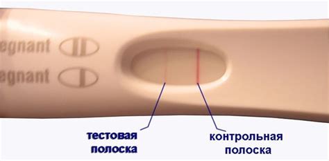 Какая информация будет в тесте?