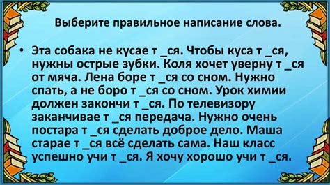 Какая правильная орфография "пылесоса"?