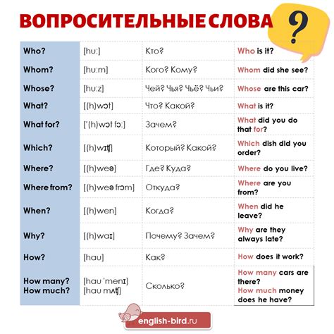 Какие вопросительные слова можно использовать?