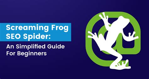 Какие данные и отчеты Screaming Frog SEO Spider предоставляет для оптимизации сайта