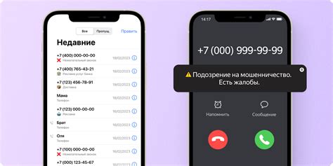 Какие данные предоставляет Яндекс определитель номера телефона