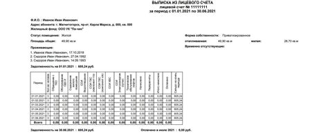 Какие данные содержит выписка из финансового лицевого счета