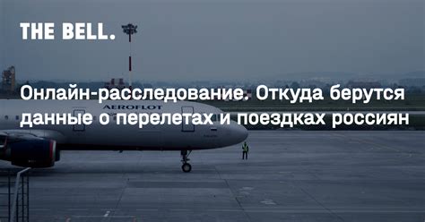 Какие данные содержит отчет о поездках