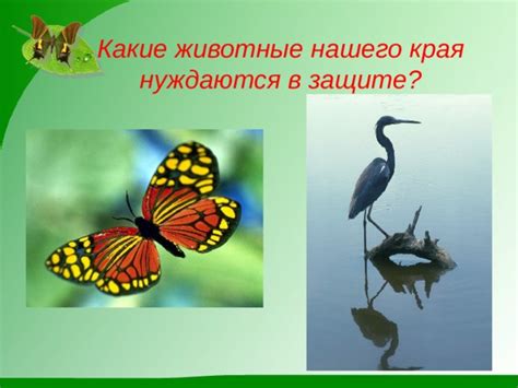 Какие животные нуждаются в защите?