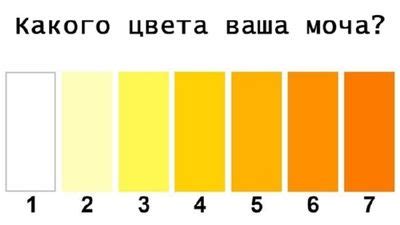 Какие заболевания могут вызывать окрашивание мочи в фиолетовый цвет