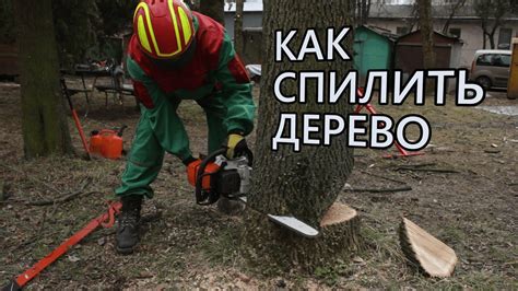 Какие меры предосторожности следует соблюдать при проверке бензонасоса?