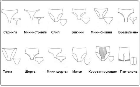 Какие модели трусов с гульфиком существуют?