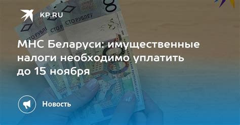 Какие налоги необходимо уплатить при оформлении УНП Беларуси