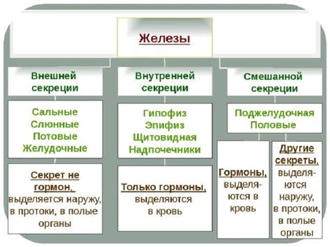 Какие научные исследования проводятся на тему поводырей внешней секреции?